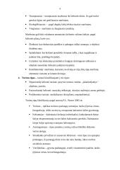 Kelionių maršruto tipų charakteristikos apžvalga 6 puslapis