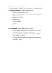 Kelionių maršruto tipų charakteristikos apžvalga 9 puslapis