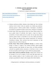 Kelionių maršruto tipų charakteristikos apžvalga 10 puslapis