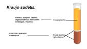 Kraujo sudėtis ir kraujo ląstelės 3 puslapis