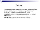 Olimpizmas ir Antikos sportas 10 puslapis