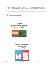 Vaikų, turinčių negalių, ugdymo praktika - pamokos planas 4 puslapis