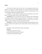 Verslo planas: apželdinimo įmonė 2 puslapis