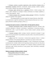 Verslo planas: apželdinimo įmonė 8 puslapis