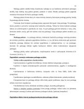 Verslo planas: apželdinimo įmonė 10 puslapis