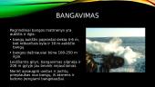 Bangavimas, potvyniai ir atoslūgiai 4 puslapis