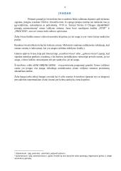 Projektinė užduotis „Šviesoforas“  2 puslapis