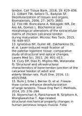 Optinių ir elektroninių mikroskopų pritaikymas 13 puslapis