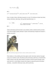 Optinių ir elektroninių mikroskopų pritaikymas 4 puslapis