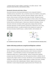 Optinių ir elektroninių mikroskopų pritaikymas 6 puslapis