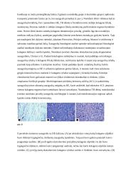 Optinių ir elektroninių mikroskopų pritaikymas 7 puslapis