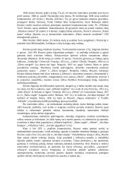 Džoakino Rosinis 2 puslapis
