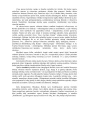 Džoakino Rosinis 4 puslapis