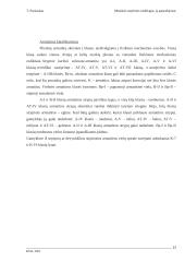 Metalinės statybinės medžiagos, jų panaudojimas 13 puslapis