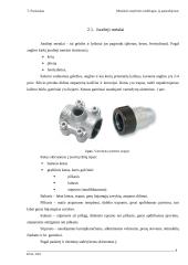 Metalinės statybinės medžiagos, jų panaudojimas 6 puslapis