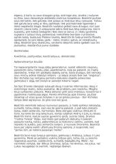 Kodėl Beatričę galima vadinti mergaite – Don Kichotu 2 puslapis