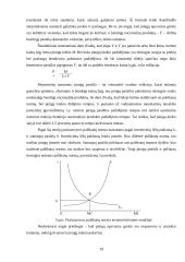 Pinigų paklausa. Kiekybinė pinigų teorija 17 puslapis