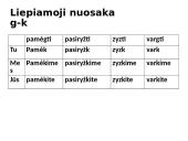 Veiksmažodis ir veiksmažodžio formos bei gramatika 11 puslapis
