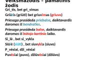 Veiksmažodis ir veiksmažodžio formos bei gramatika 13 puslapis