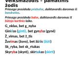 Veiksmažodis ir veiksmažodžio formos bei gramatika 14 puslapis