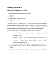 Statybos ypatumai 12 puslapis