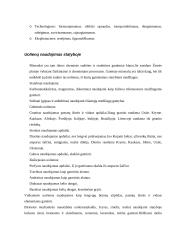 Statybos ypatumai 14 puslapis