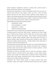 Statybos ypatumai 16 puslapis