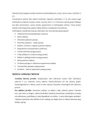 Statybos ypatumai 17 puslapis