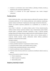Statybos ypatumai 20 puslapis