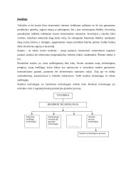 Statybos ypatumai 3 puslapis