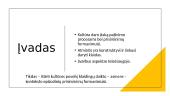 Kaip kultūra formuoja konstruktyvią atminties apgaulę? 2 puslapis