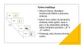 Kaip kultūra formuoja konstruktyvią atminties apgaulę? 7 puslapis