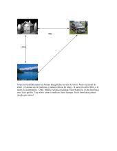 Ekologijos testas 5 puslapis