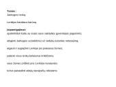 Jogailos valdymas 1377-1386  6 puslapis