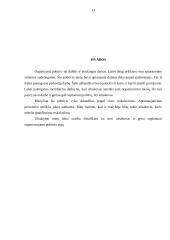 Pobūvio organizavimas 13 puslapis