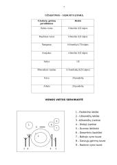 Pobūvio organizavimas 7 puslapis