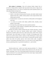 Pobūvio organizavimas 9 puslapis