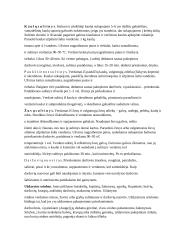 Sriubos, jų asortimentas ir gaminimo technologijos 2 puslapis