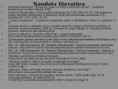 Benamių problema 20 puslapis