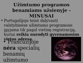 Benamių problema 9 puslapis