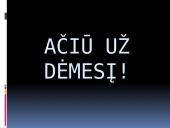 Viskas apie Vikingus 17 puslapis