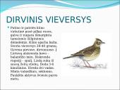 Skirtingi paukščiai 8 puslapis