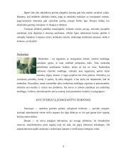 Sveika gyvensena – kas tai? 9 puslapis