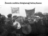 Steigiamasis seimas ir jo darbai. Klaipėdos prijungimas  13 puslapis