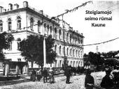 Steigiamasis seimas ir jo darbai. Klaipėdos prijungimas  14 puslapis