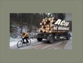 Žalgirio mūšis, jo eiga bei baigtis 7 puslapis