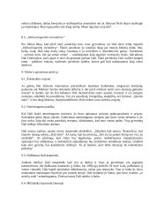 Salvadoras Dali: darbai ir gyvenimas 8 puslapis