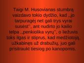 Stumbro paveikslas Mikalojaus Husoviano kūrinyje ,,Giesmė apie stumbro išvaizdą, žiaurumą ir medžioklę’’ 5 puslapis