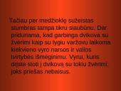 Stumbro paveikslas Mikalojaus Husoviano kūrinyje ,,Giesmė apie stumbro išvaizdą, žiaurumą ir medžioklę’’ 10 puslapis
