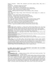 Istorija. Viskas, ko reikia egzaminui 18 puslapis